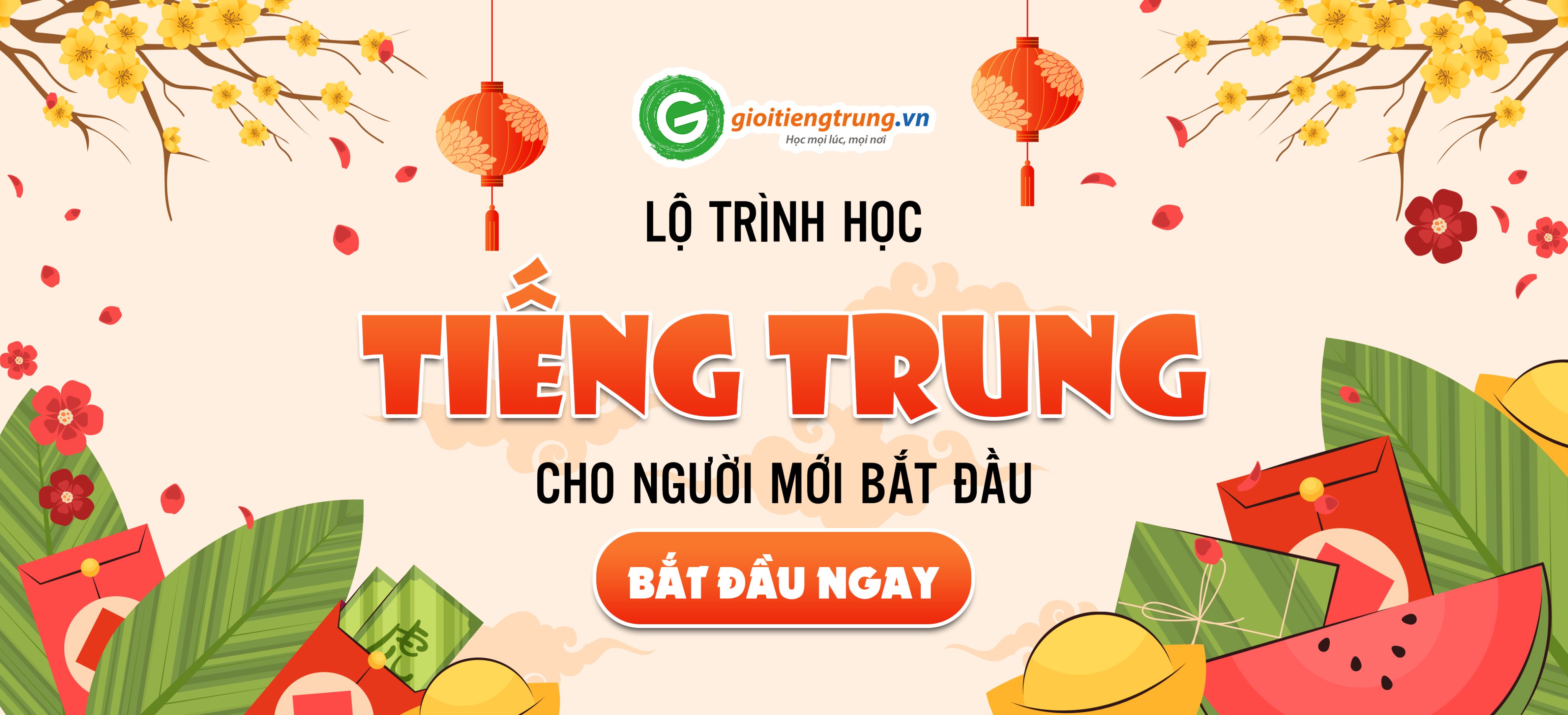 lộ trình học